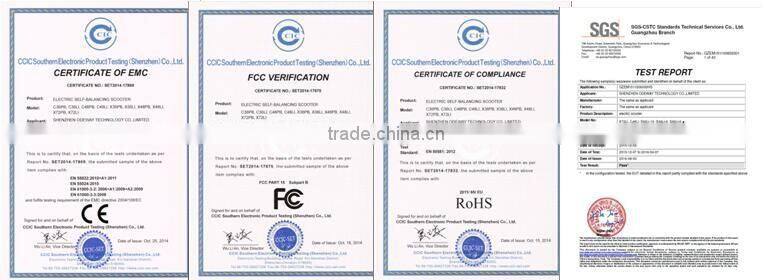 800W off road wireless remote control electric skateboard sale on best price