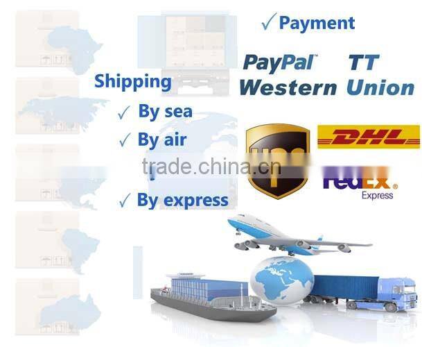 EP210 Electric Airless Paint Sprayer