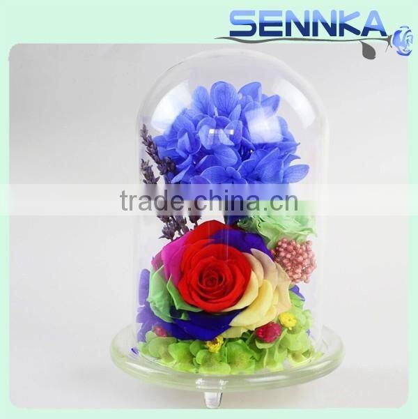 2016 Natural Preserved Fresh Flower in Hot Design High Transparency Pyrex Glass Dome with Base