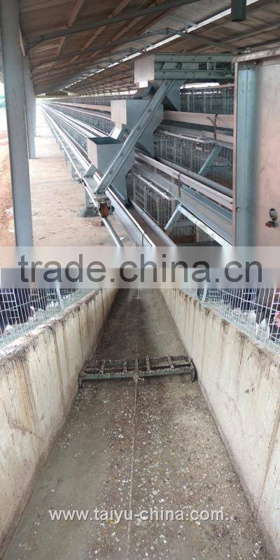Trade assurance NO.1 Stong steel feed trough 3 tiers a type layer poultry shed