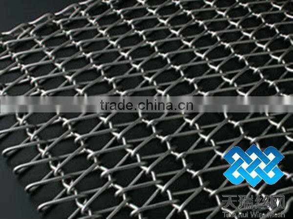 TIANRUI Conveyor Belt wire Mesh with super quality