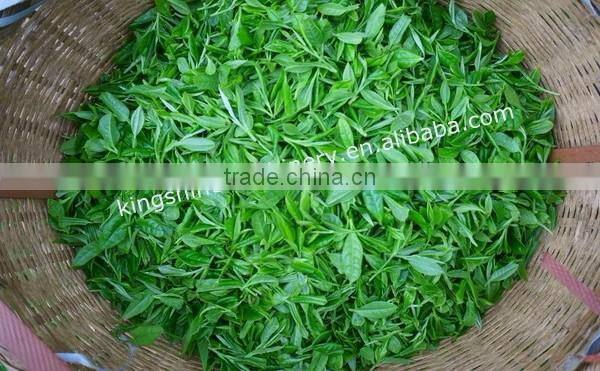 Great cleaning efficiency--tea leaf cleaning machine for sale