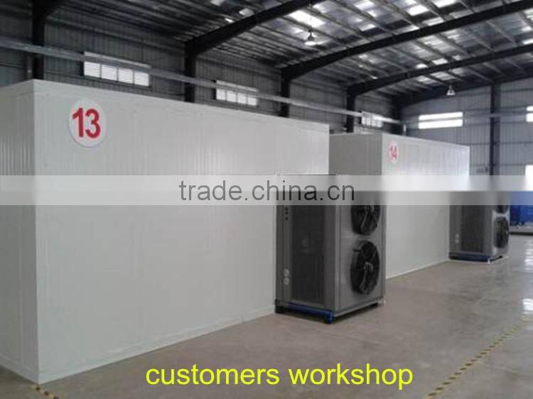 Charcoal Briquette Chain Dryer/mesh belt dryer machine 008618738127720