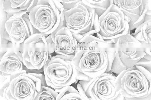 American girls july 4th patriotic navy blue and red chiffon fluffy pettiskirts kids tutu skirts