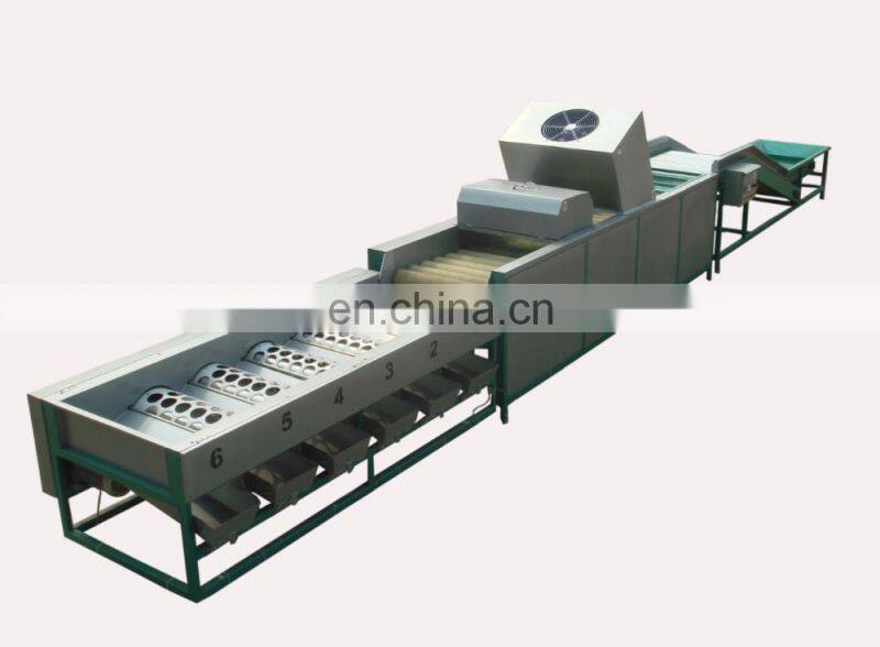 Fruit Grader For Apple/Pear/Orange/Peach According To Weight Stainless steel