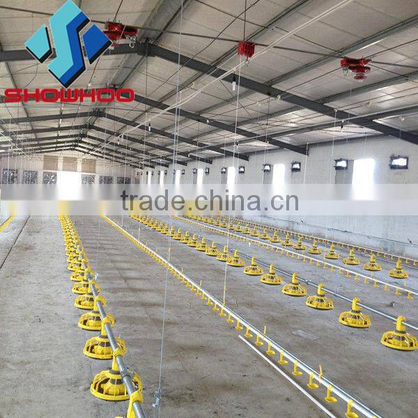 cheap chicken poultry shed