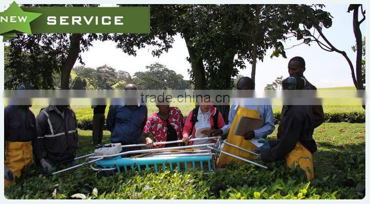 Hot Sale Two-man Tea Picker for Sale