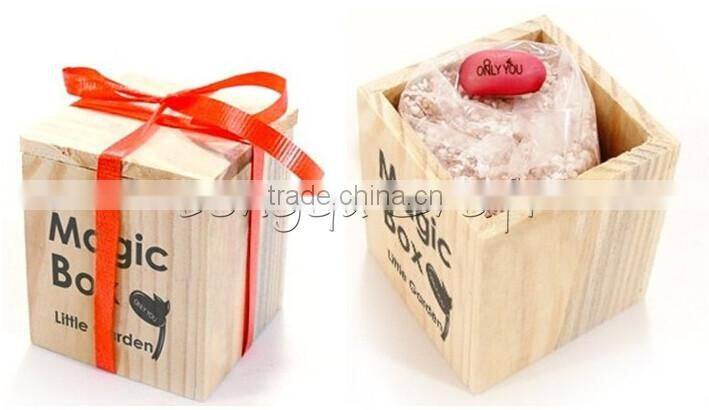 High Quality wood craft cheap creative box magic bean with words