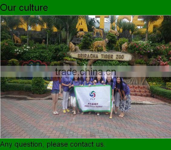 china manufacturer of stand,R10 economic pull up stand, roll up banner/2KG