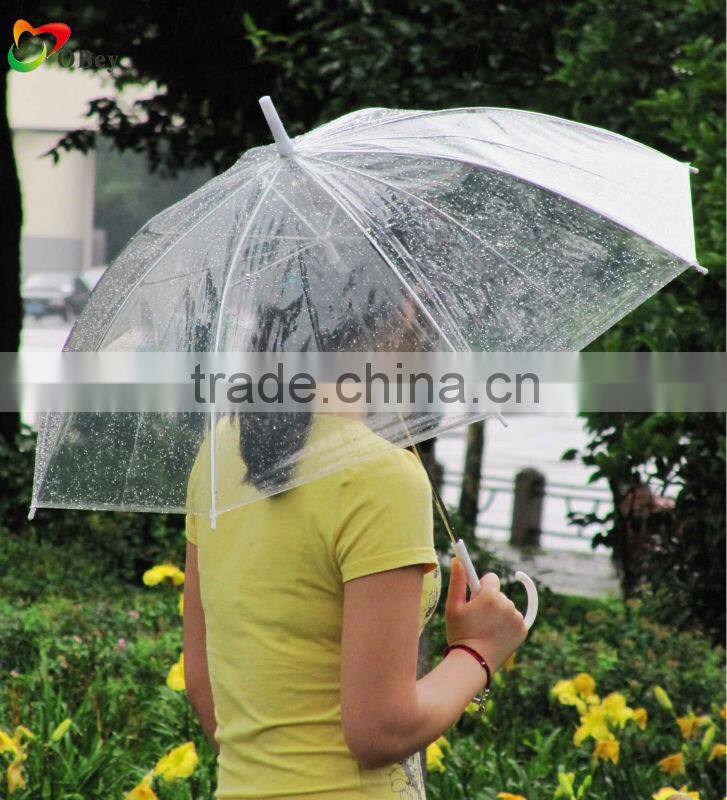 8k transparent poe umbrella