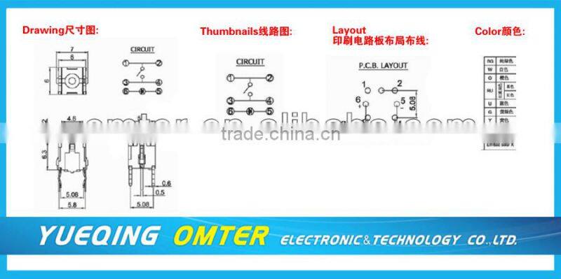 TS1-00-00G auto light switch