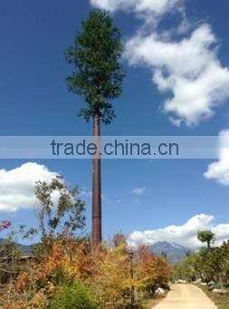 camouflaged pine tree cell phone tower for telecommunication