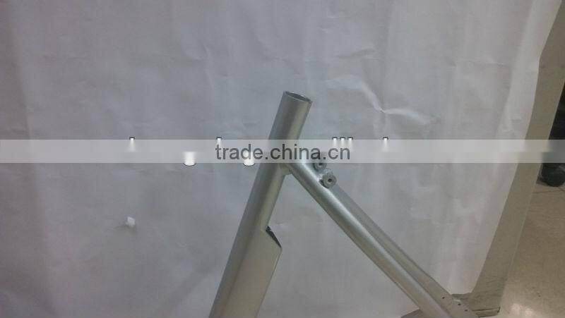 E-bike frame