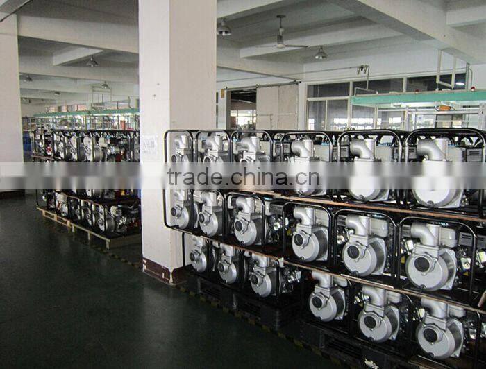 Robin water pump/Robin pump PTG307