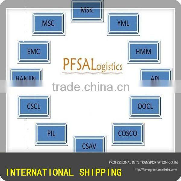 The Best Sea freight forwarding agents in Shanghai Shipping to worldwide