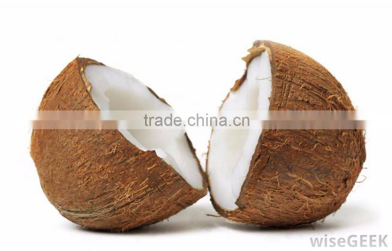 fresh coconuts from kerala