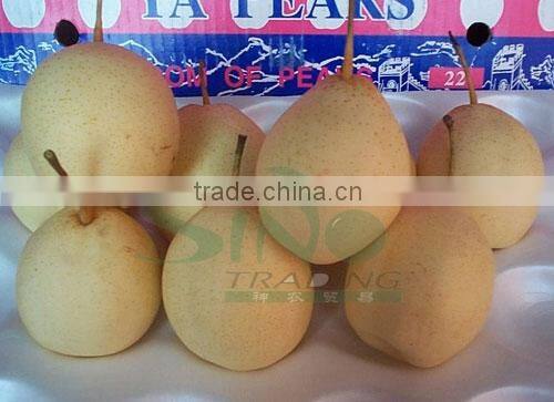 ya pears 2015 for sales