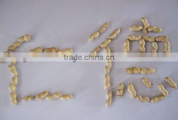 round blanched peanut kernels 2 *12.5kgs vaccum bag/carton