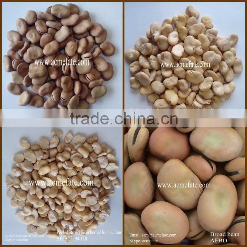 dry horse beans kernel