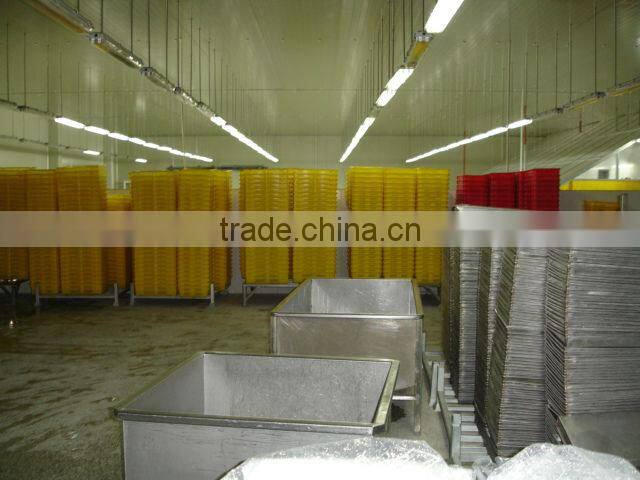 Four season food iqf frozen carrot, dices, slices, cube