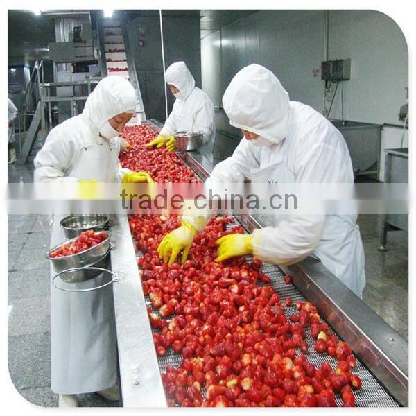 Haccp frozen IQF strawberry Gade A 15-- 25mm,25--35mm