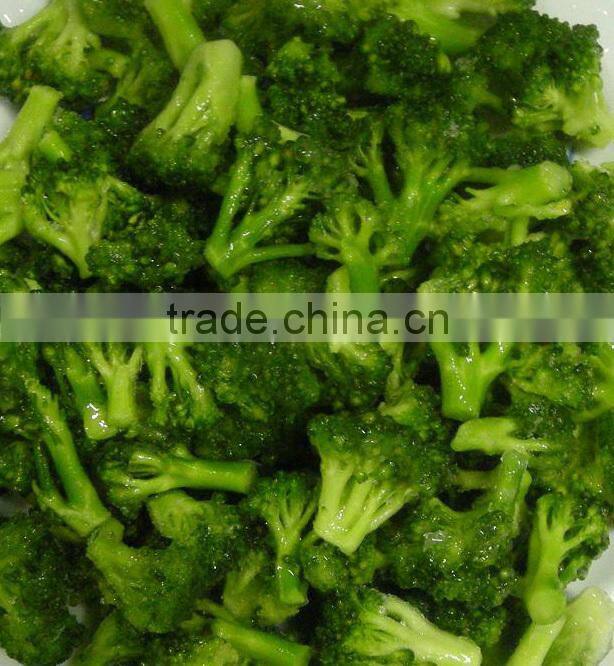 New 2015 dried broccoli best selling products in philippines