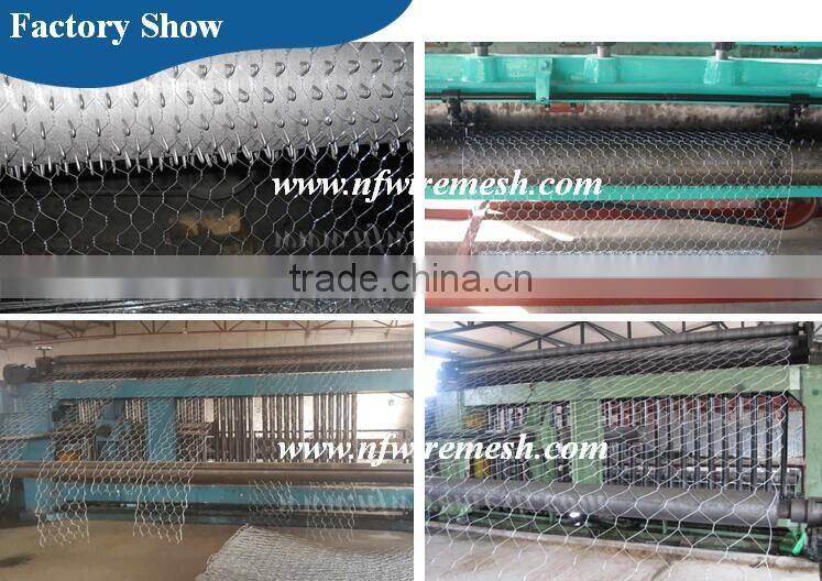 Hexagonal Hole Shape Q195 Galvanized Iron Wire hexagonal wire netting(Guangzhou Factory)