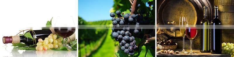 stainless steel dimple cooling wine tank/wine fermentation tank