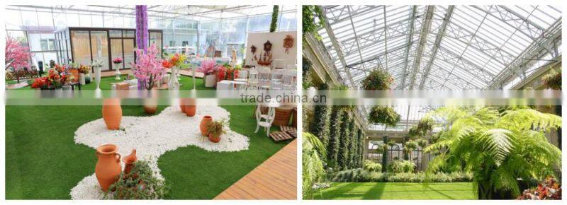 Venlo Glass Greenhouse