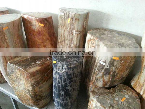 Petrified wood,high value luxary natural stone for collection