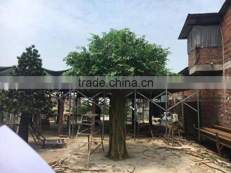 Fiberglass big ficus tree