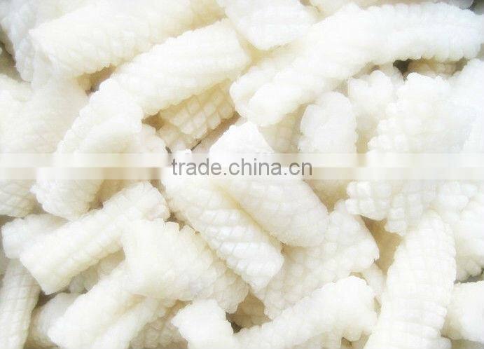 frozen carving squid