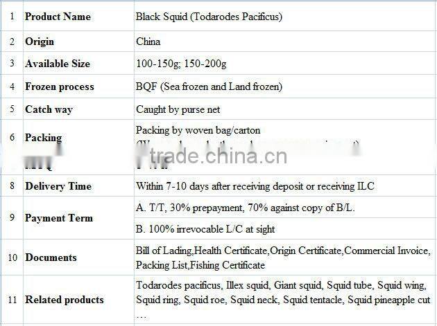 Frozen Black Squid (Todarodes Pacificus)
