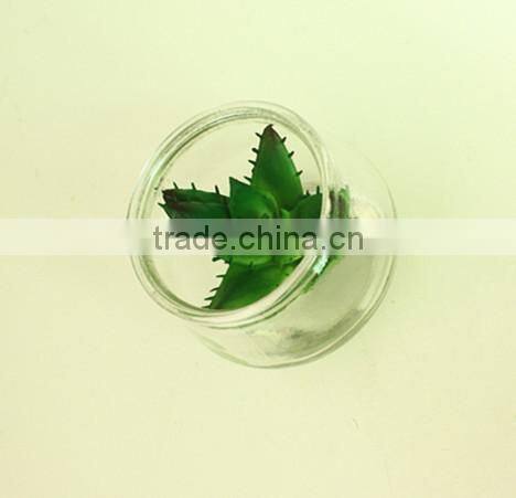Hanging Glass succulents terrarium mini artificial plants for home decoration