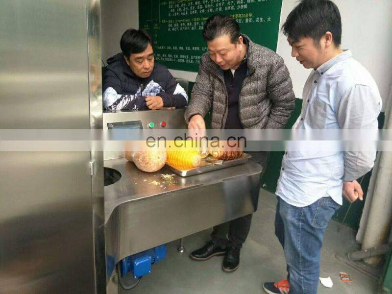 High Quality PLC Controlled Apple Peeling/Coring/Slicing Machine/+86 189 39580276