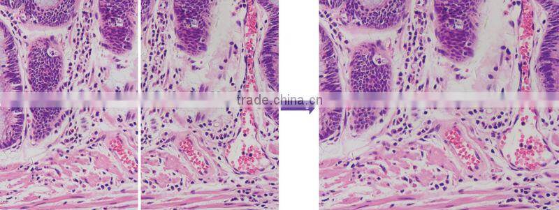 ToupView for ToupCam Camera