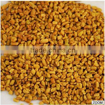 Fenugreek Seeds