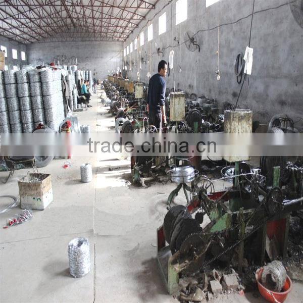 Electro Galvanzied Barbed Wire