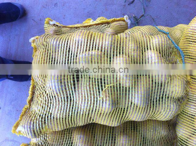 Sell 2013 Fresh holland potato