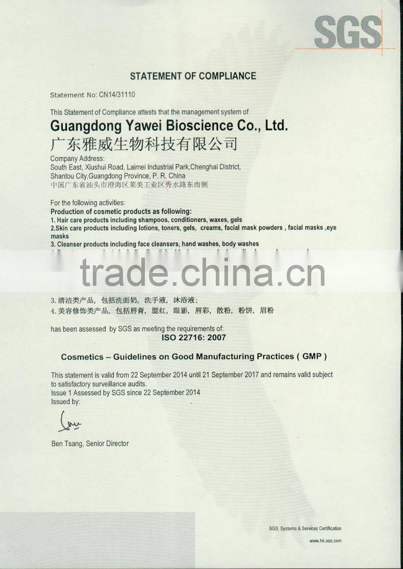 New Square Double Colors Lipstick for Bit Lips Makeup