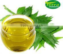 Neem Seed Oil in expoxy coated steel drums