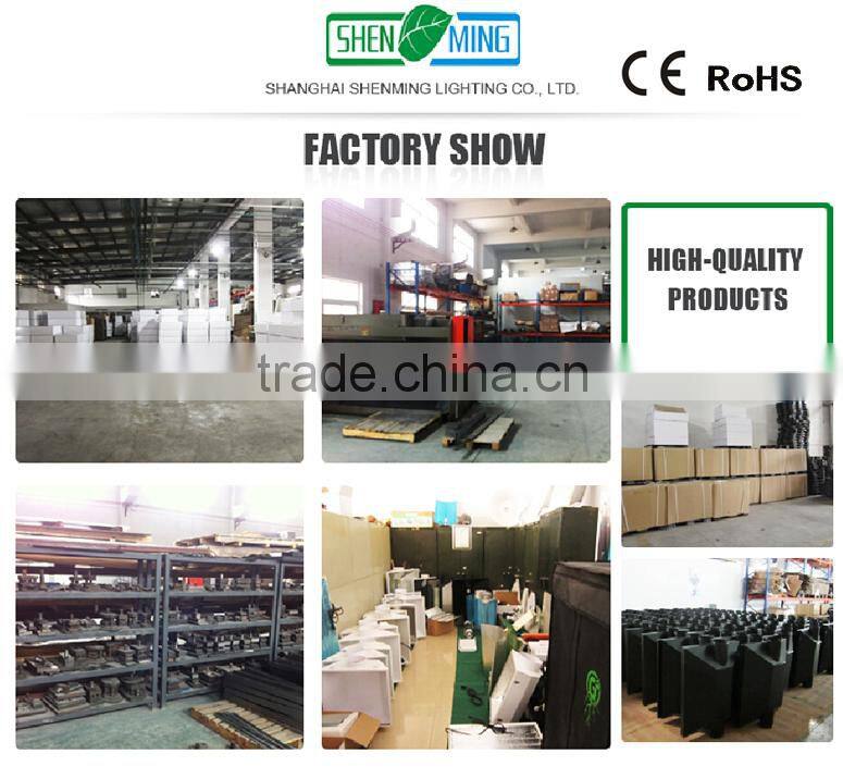 Hydroponic light HPS grow light 600w grow light lamp