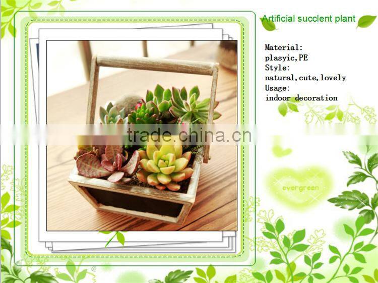 China supplier new designed potted artificial mini succulent plants for table decoration
