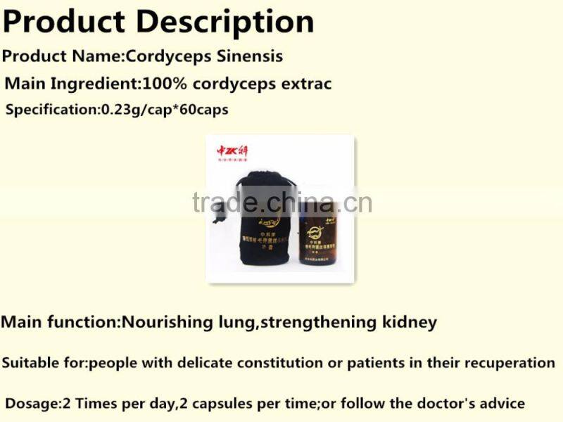 yarsagumba,,Cordyceps containing worm row acid in the body. Vitamin B12, fat, protein, etc.king of the effective cordyceps