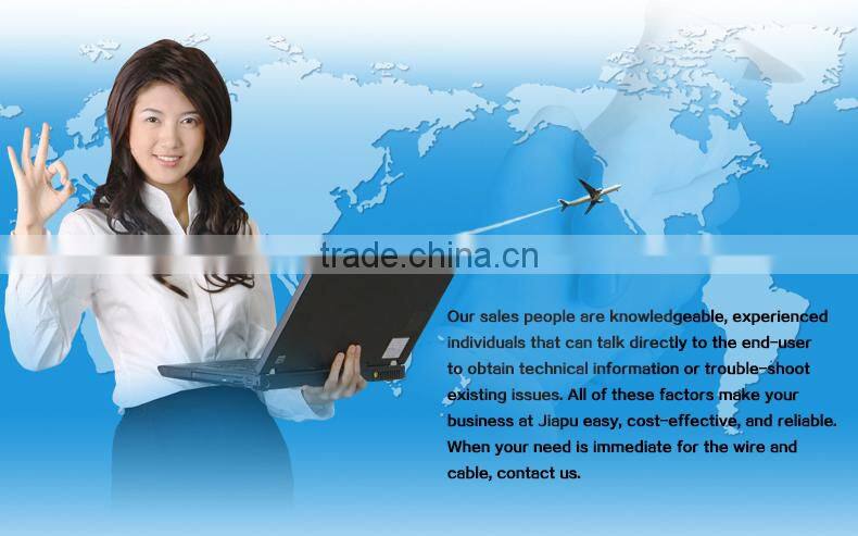 Hot Seller 300/500V PVC Insulated Wire With Reasonable Price