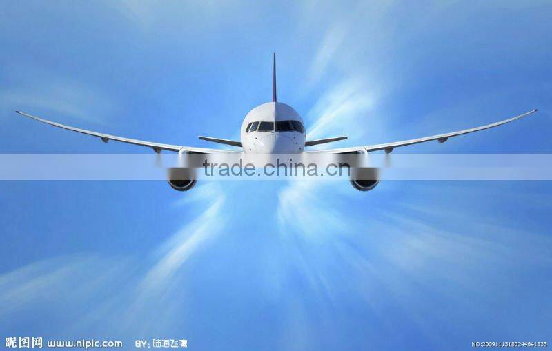 cargo agent shipping cantainer to poland