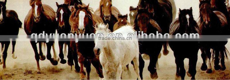 china factory direct sales high quality wholesale iron horseshoe