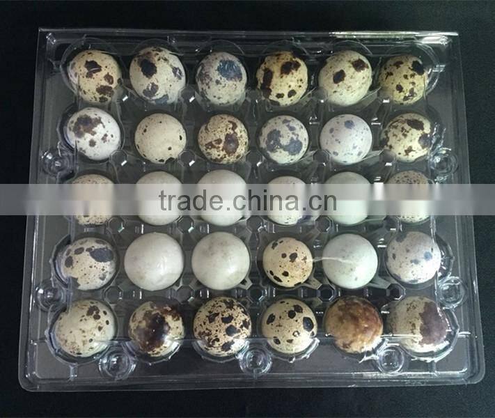 OUCHEN wholesale high quality plastic quail egg cartons tray packaging 12 18 20 24 30 holes for sale
