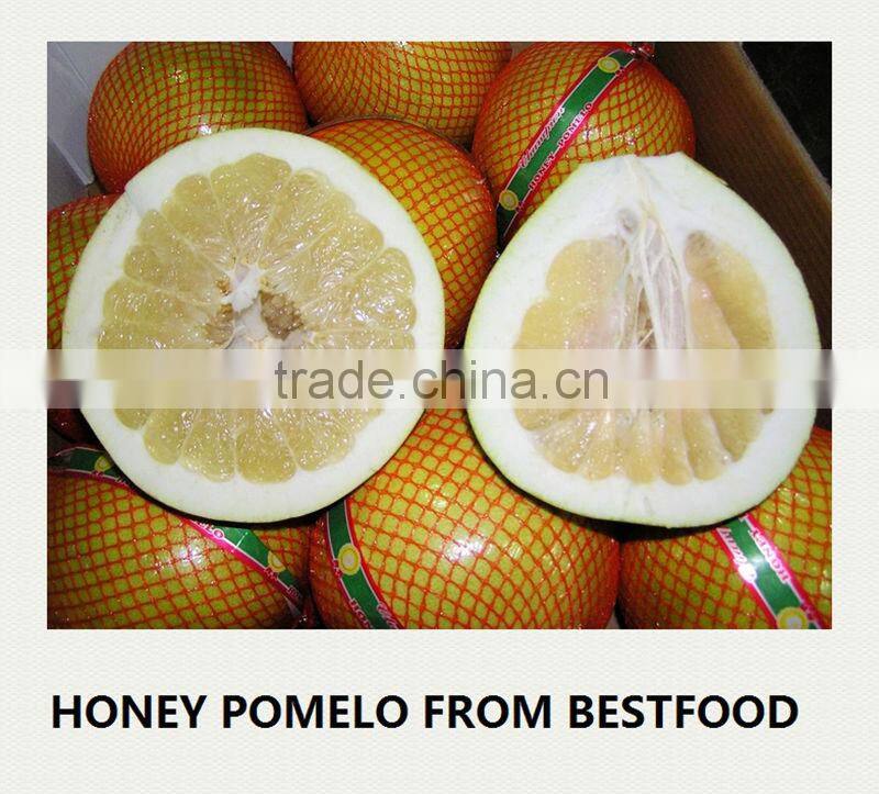 Citrus Fruits New Crop Wholesale Prices of Pomelo