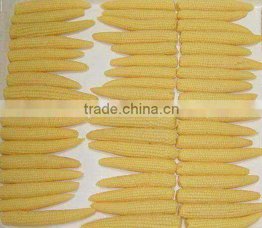 370ml canned steamed fresh baby corn cuts